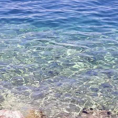 Apartment- Family مالينسكا