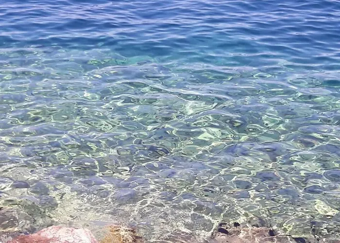 Apartment- Family מאלינסקה